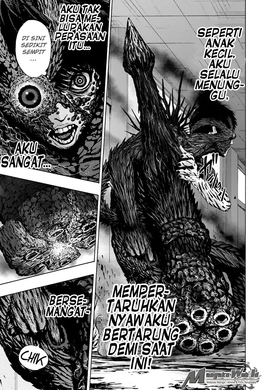 Halaman 17