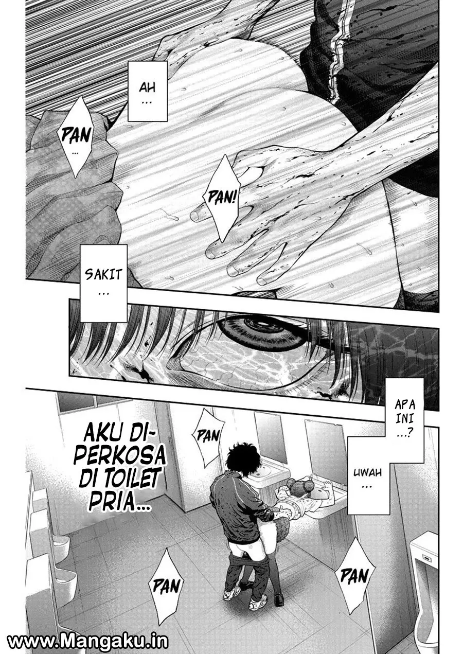 Halaman 17