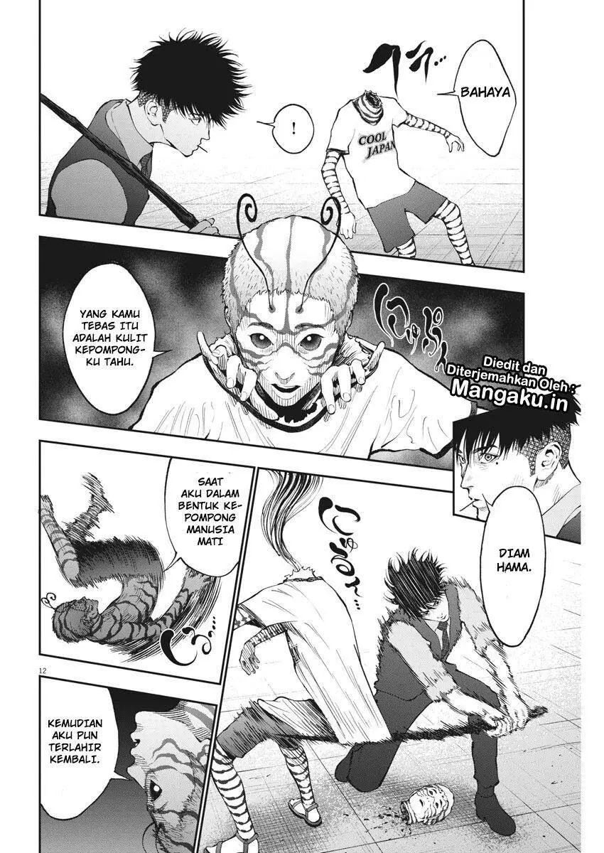 Halaman 13