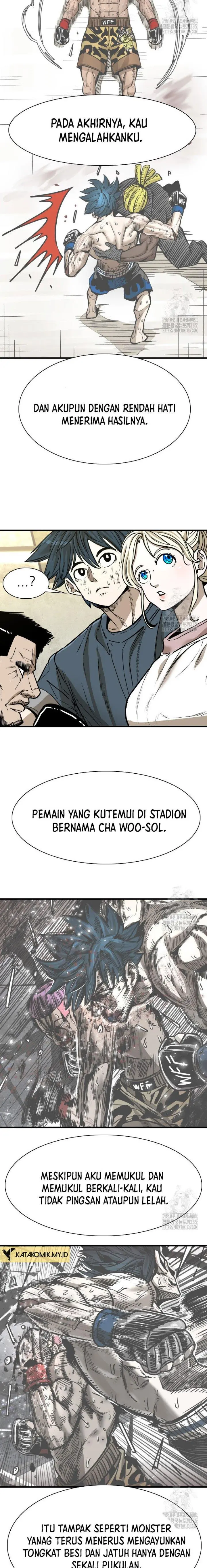 Halaman 17