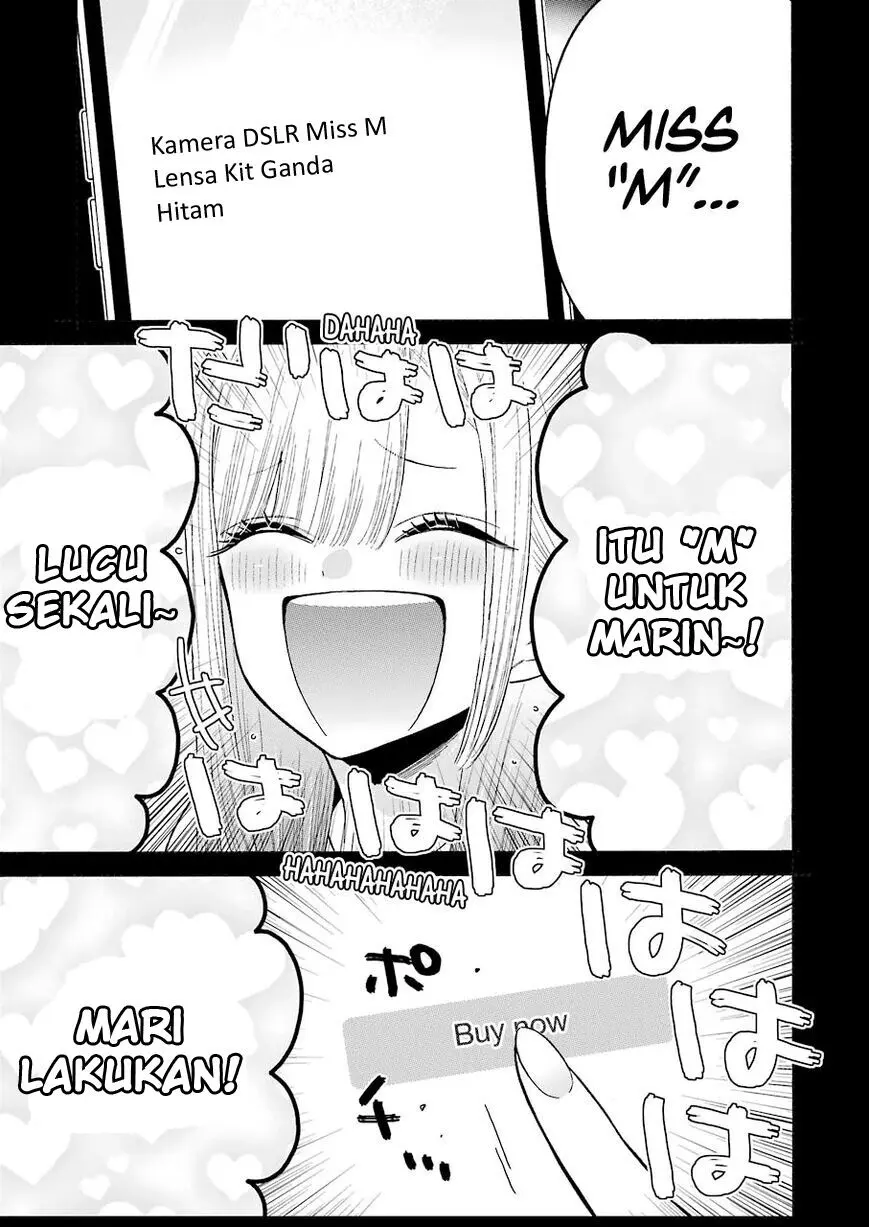 Halaman 17
