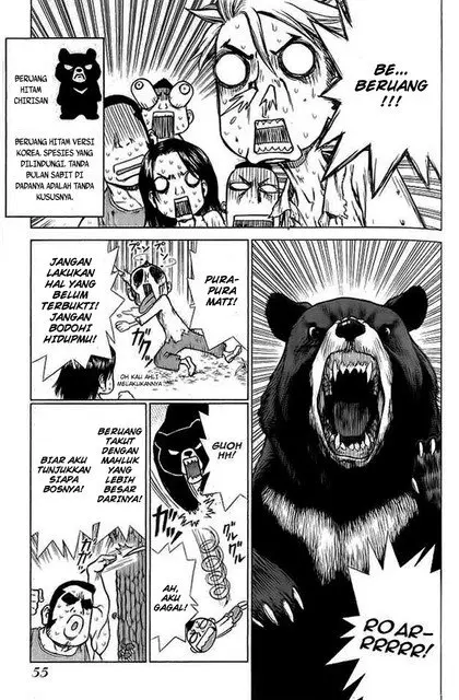 Halaman 22