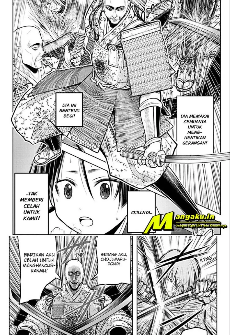 Halaman 17