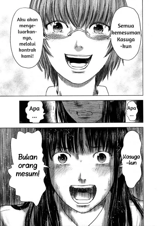 Halaman 17