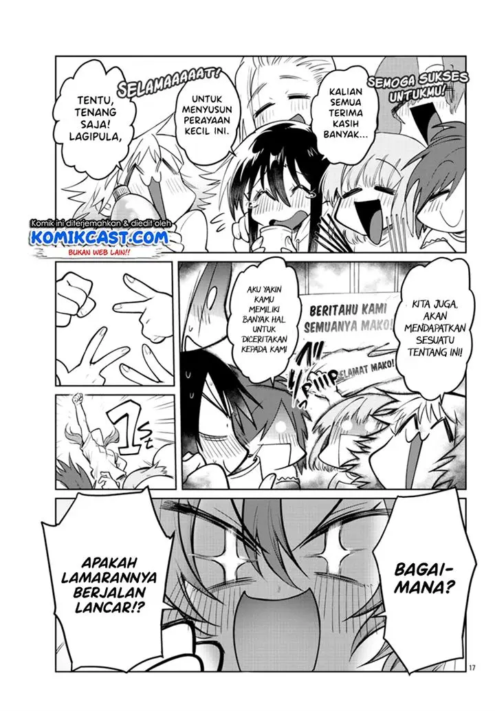 Halaman 17