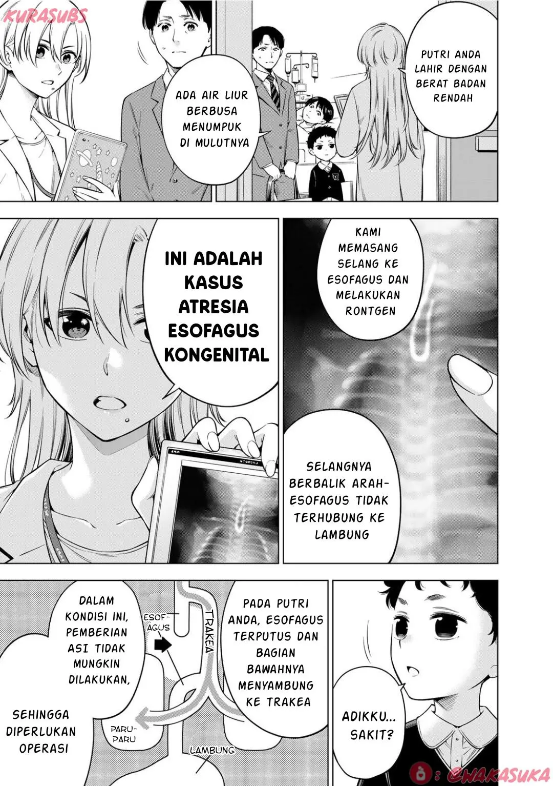 Halaman 13