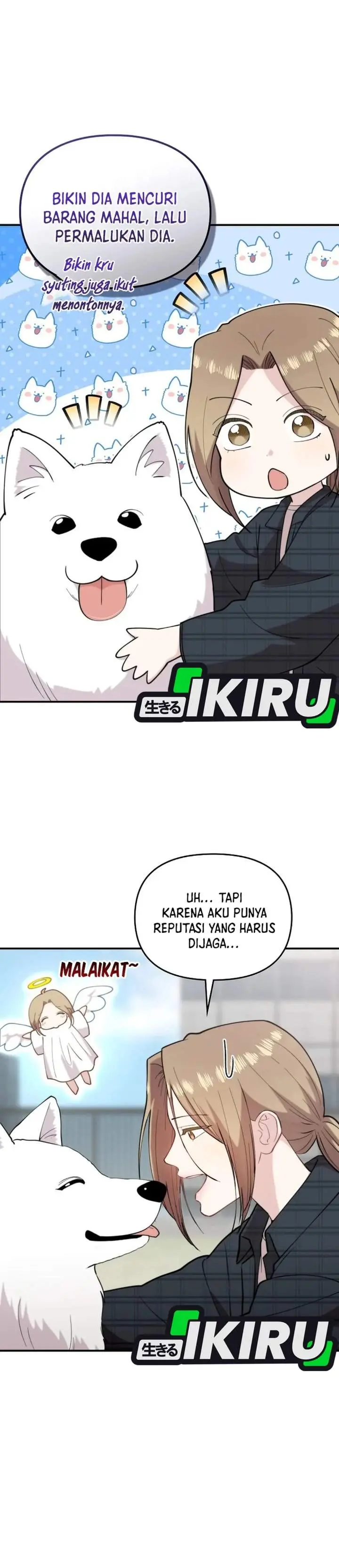 Halaman 25