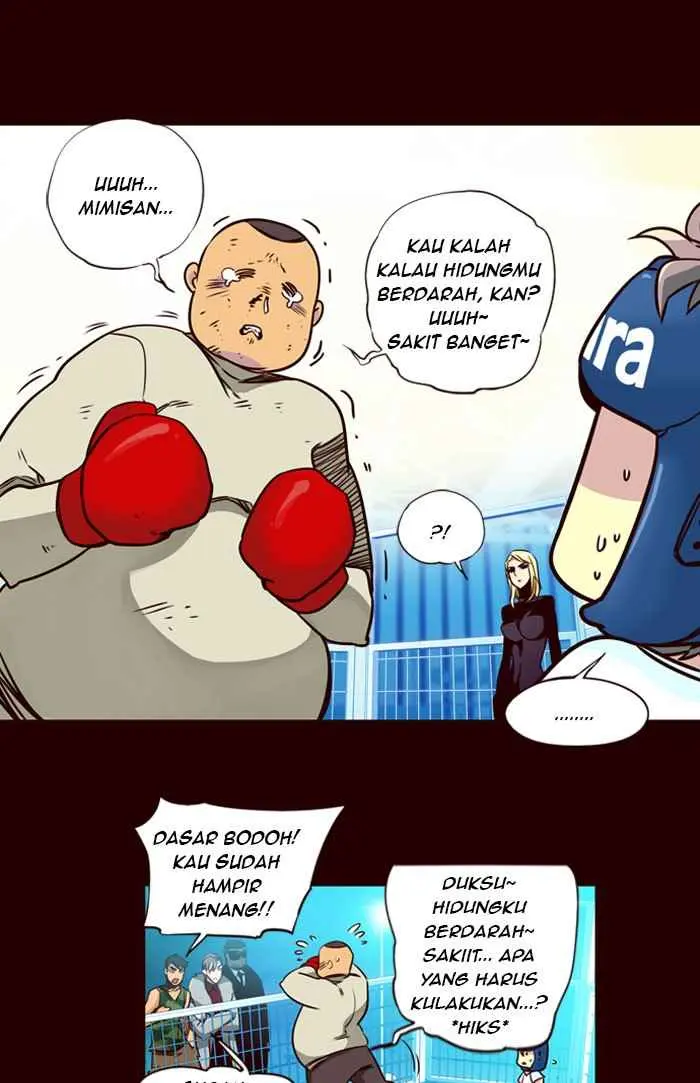 Halaman 17