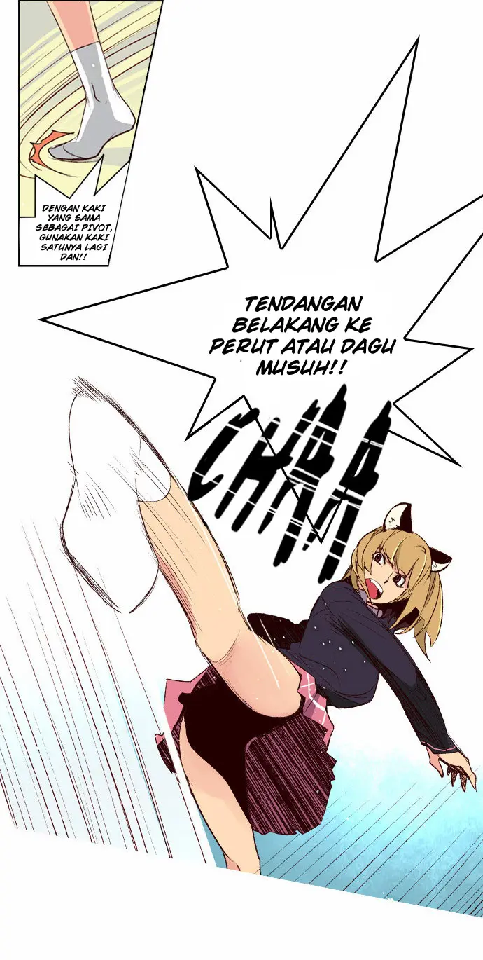 Halaman 17