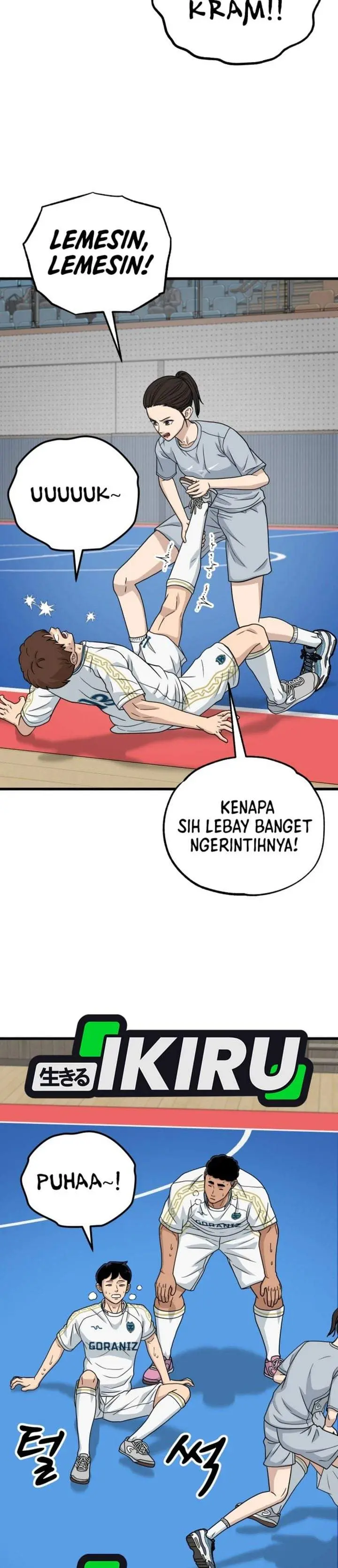 Halaman 17