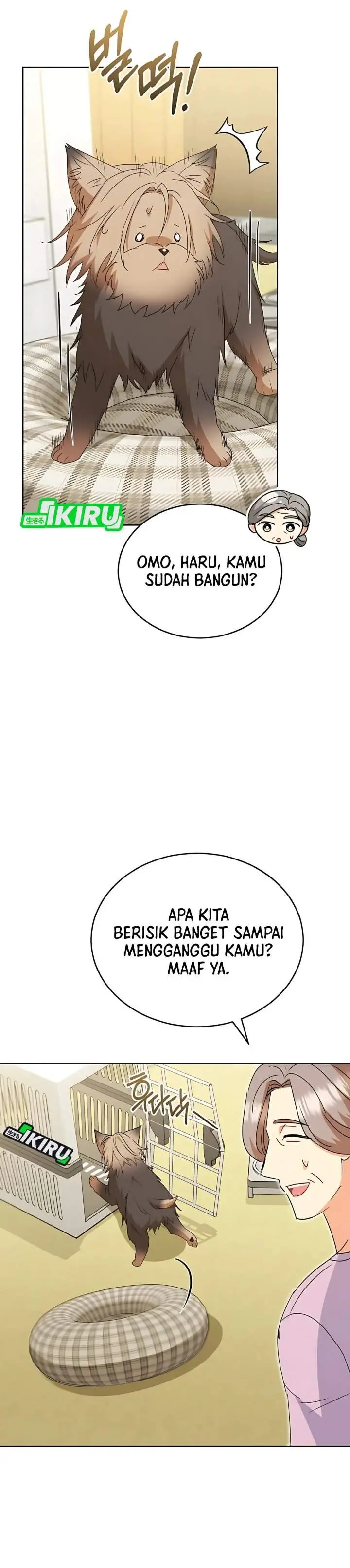 Halaman 25