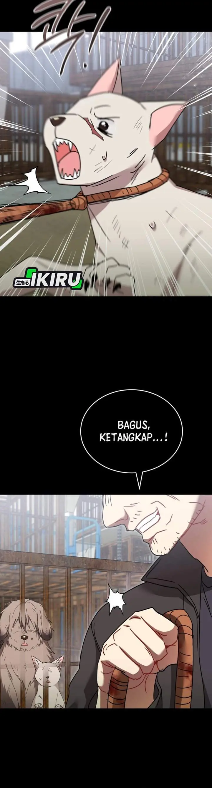 Halaman 19