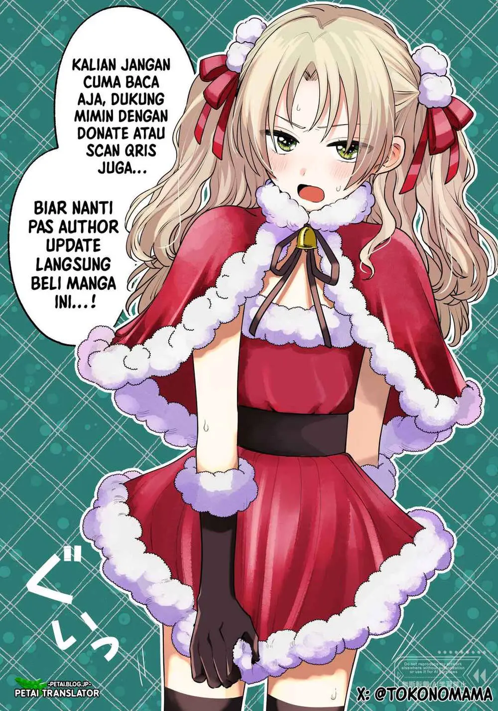 Halaman 17