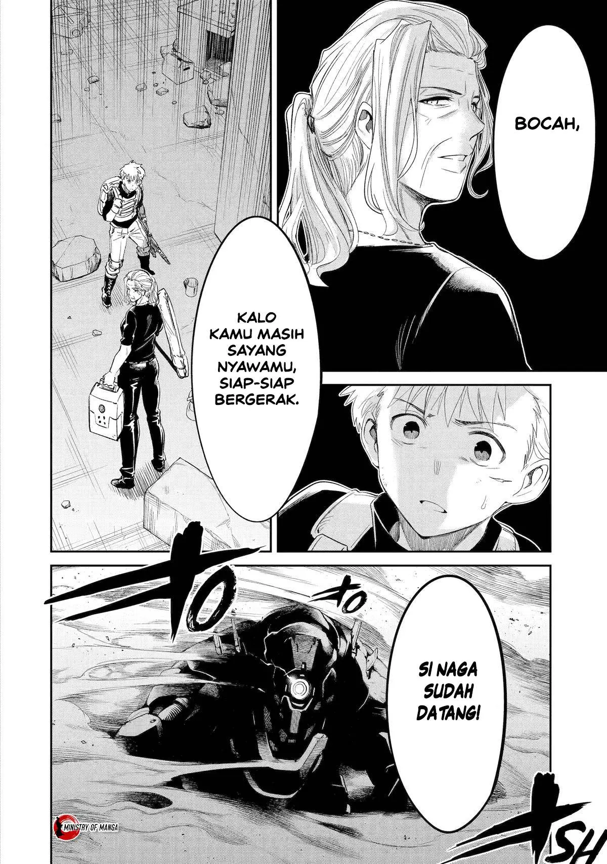 Halaman 17