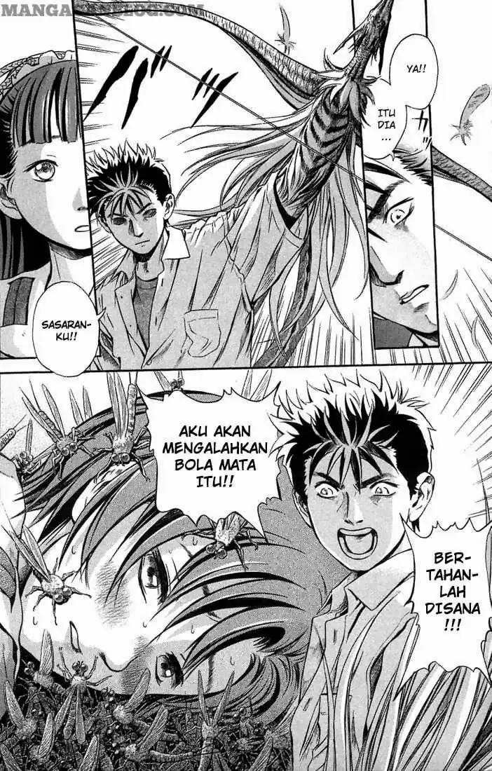 Halaman 24