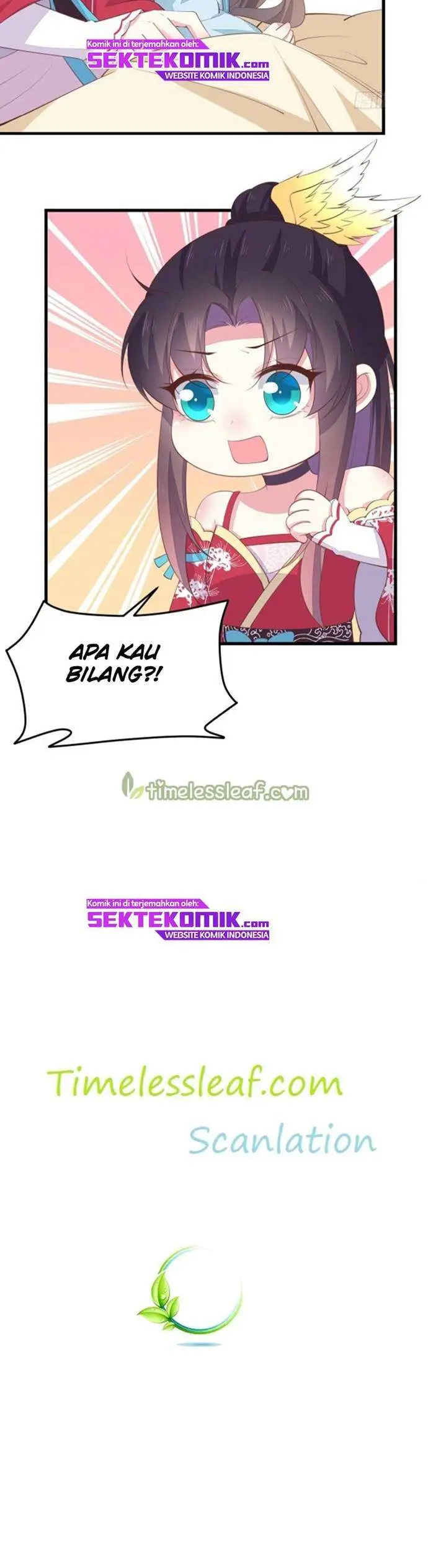 Halaman 17