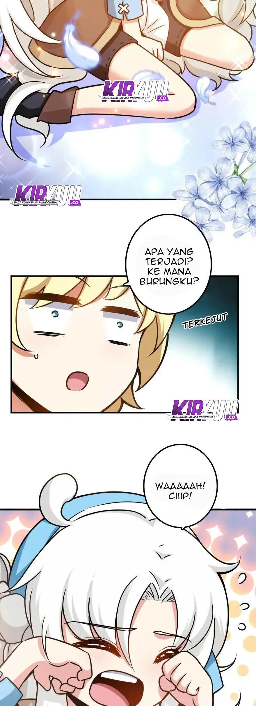 Halaman 17
