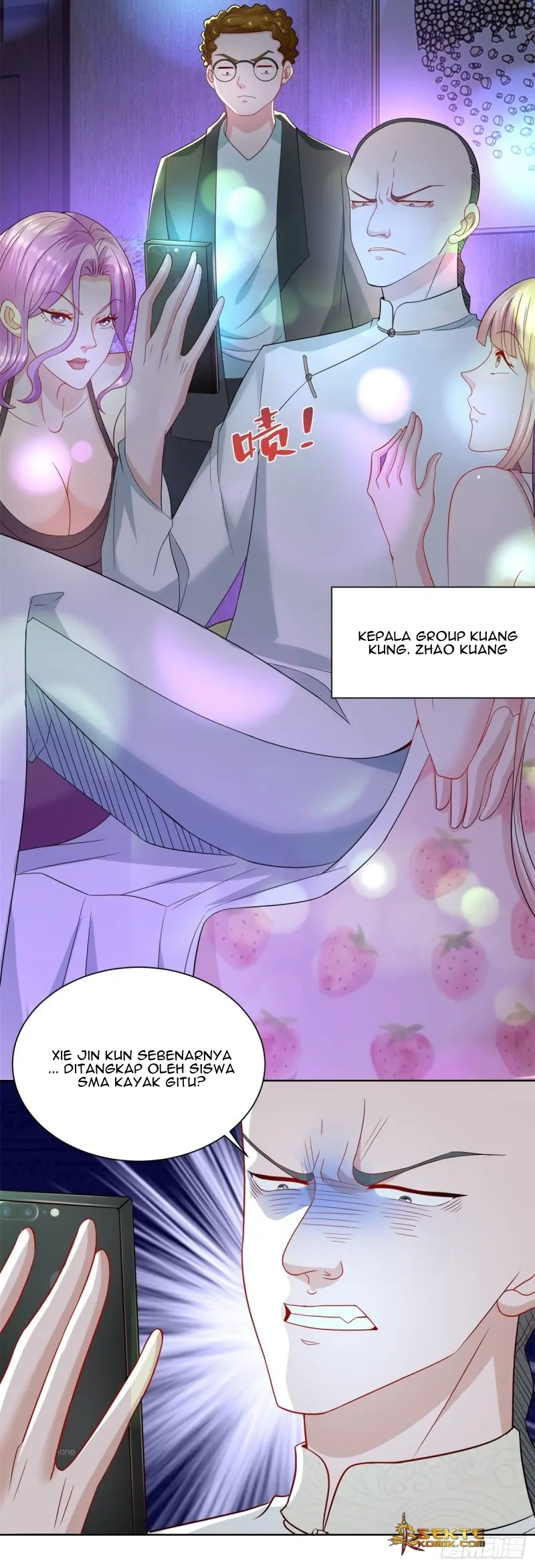 Halaman 17