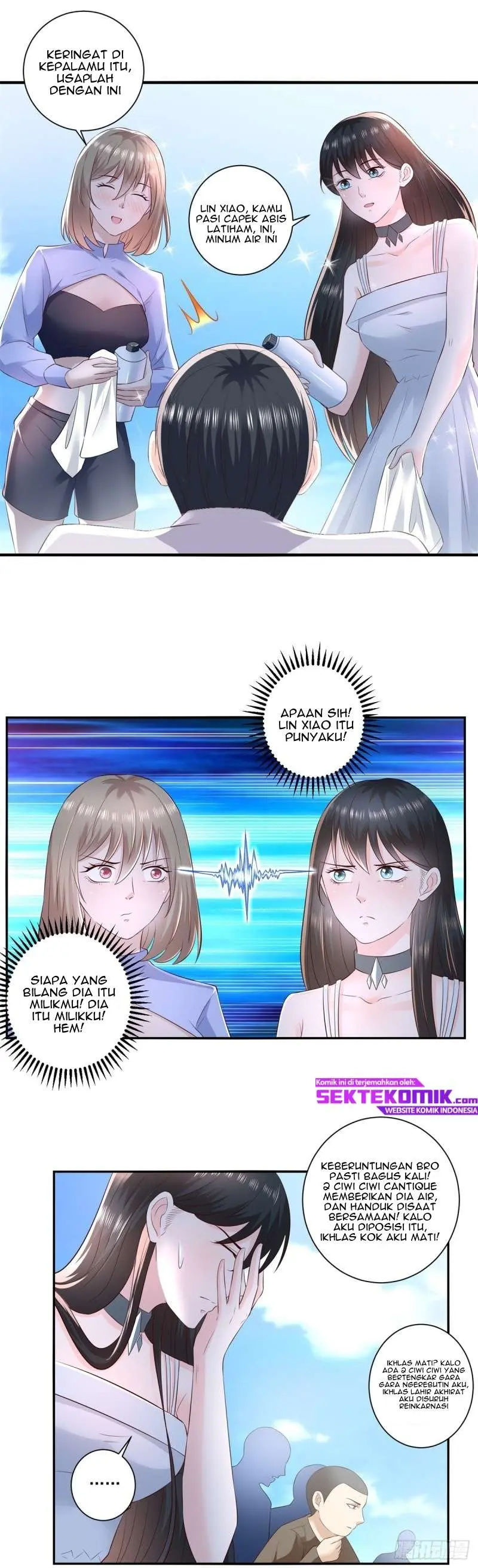 Halaman 17