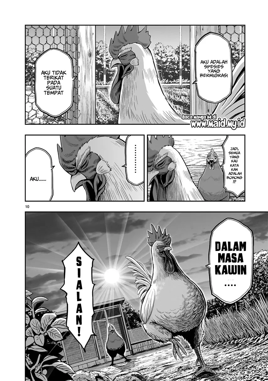 Halaman 13