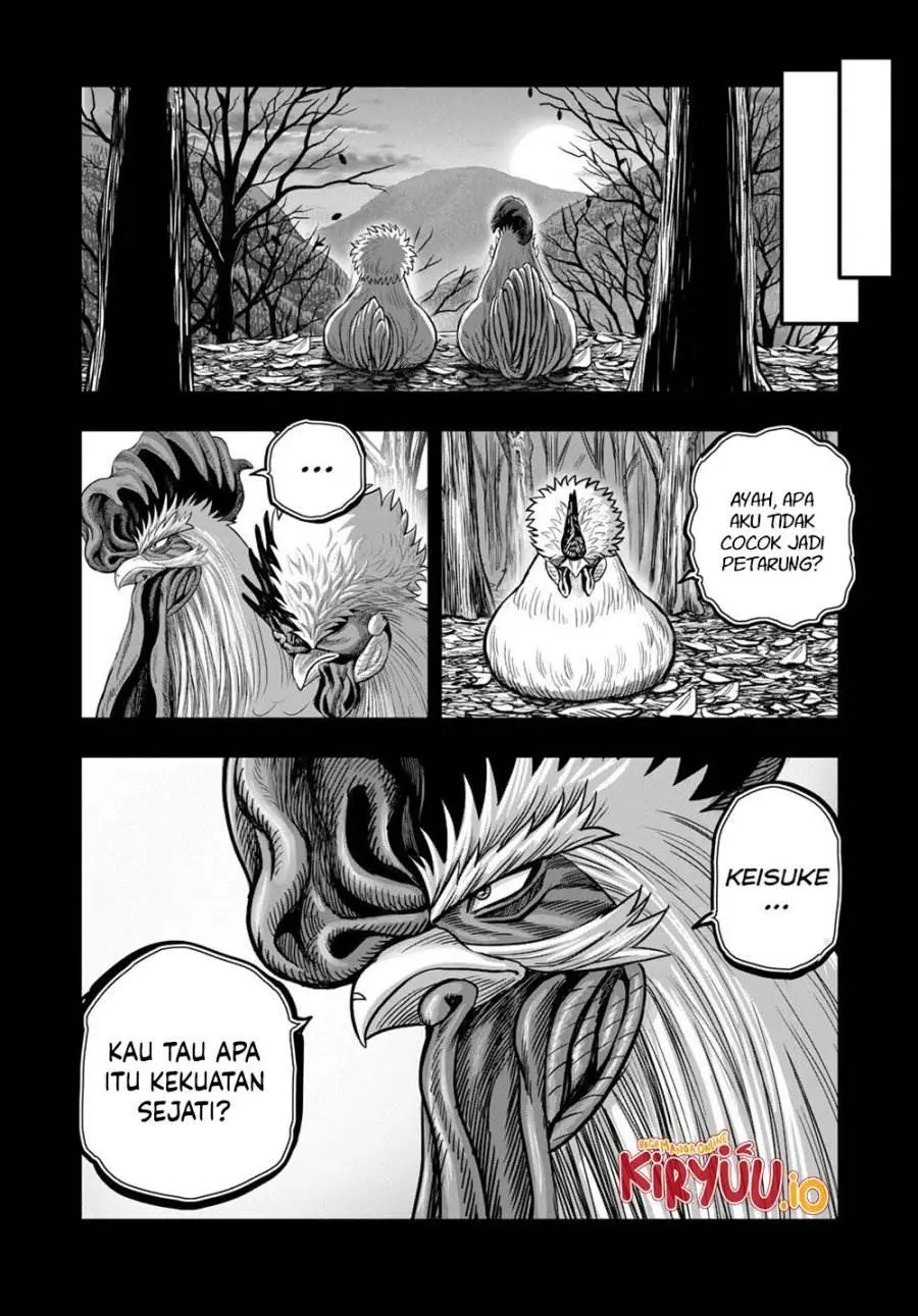 Halaman 17