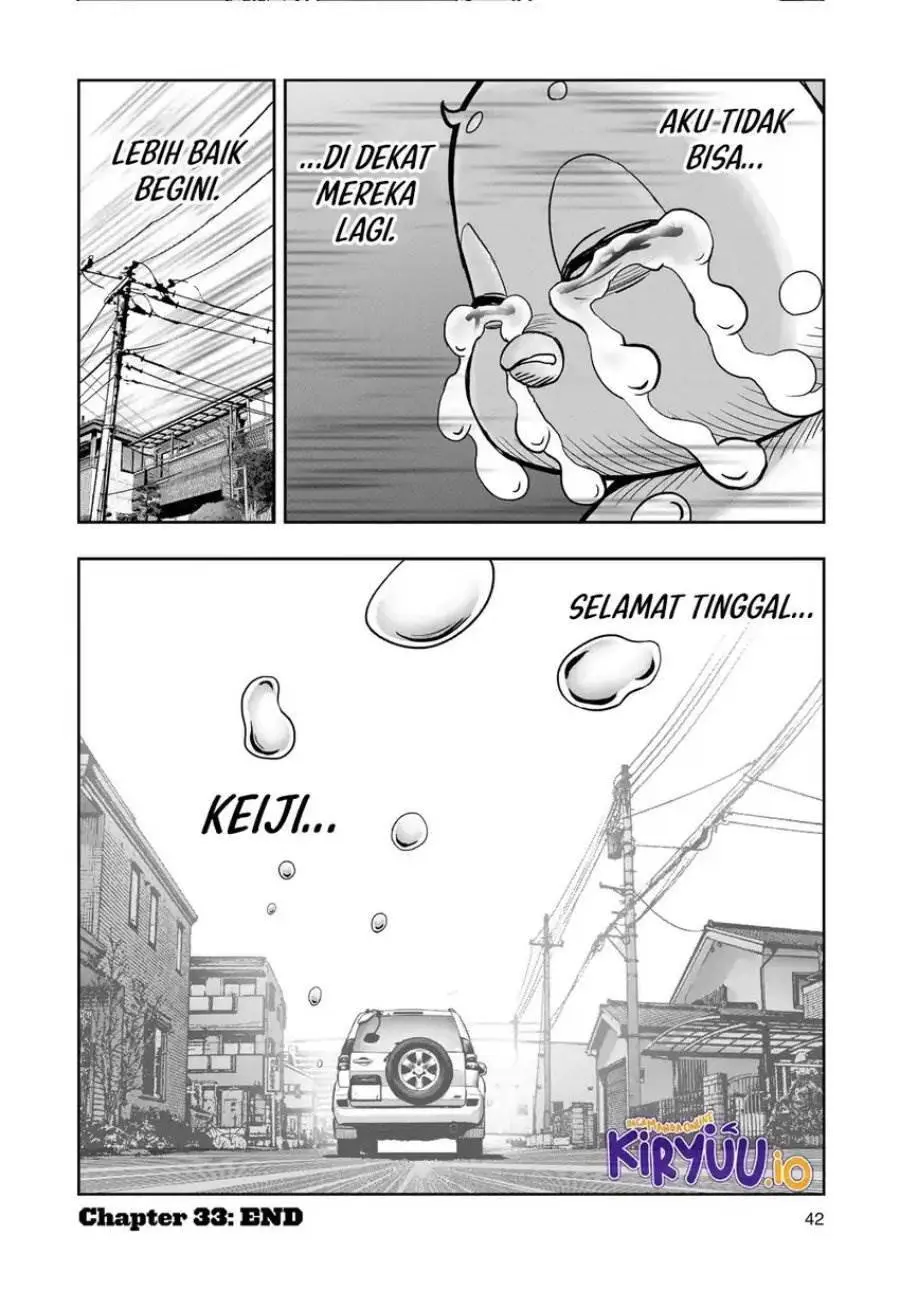 Halaman 43