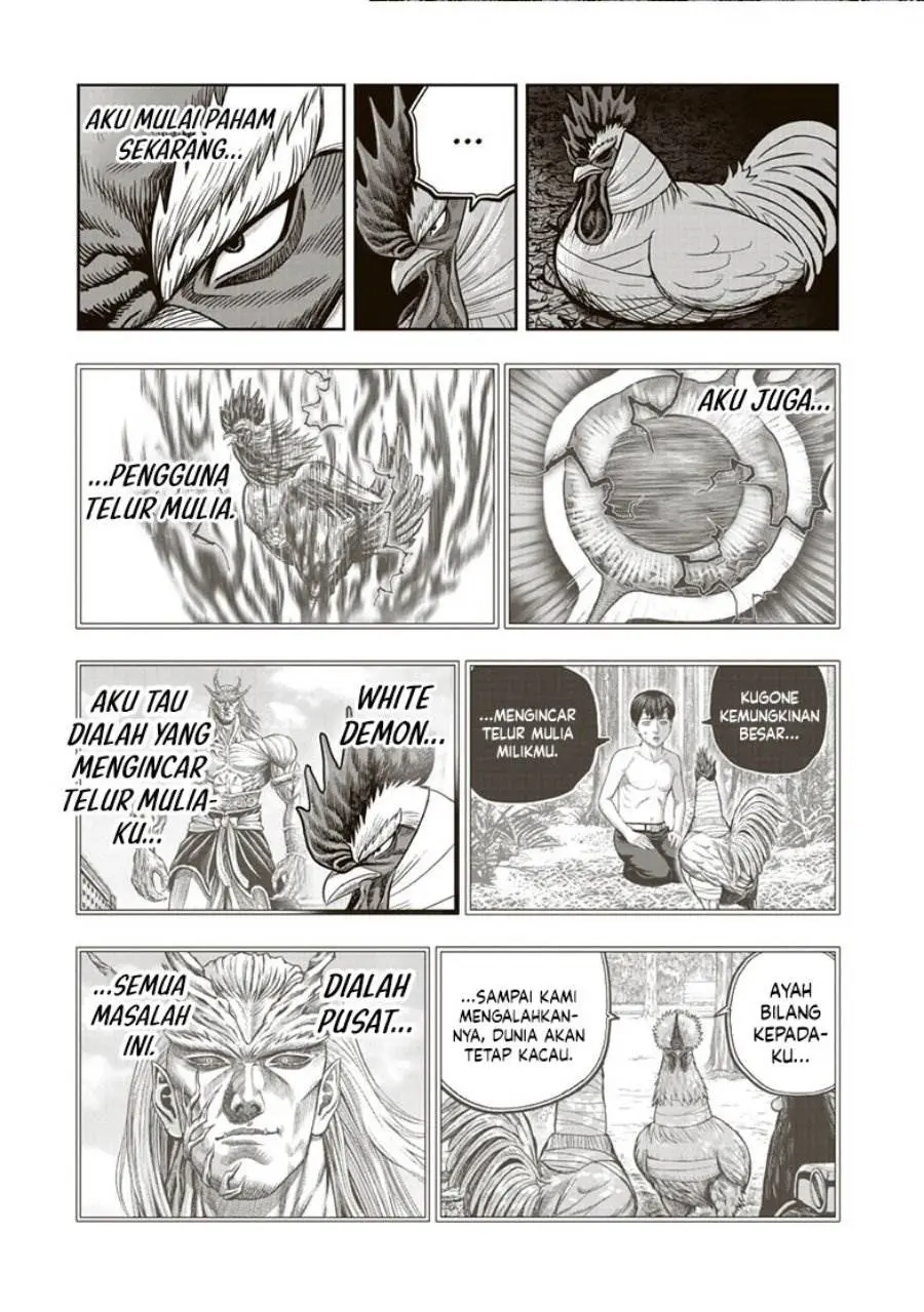 Halaman 14