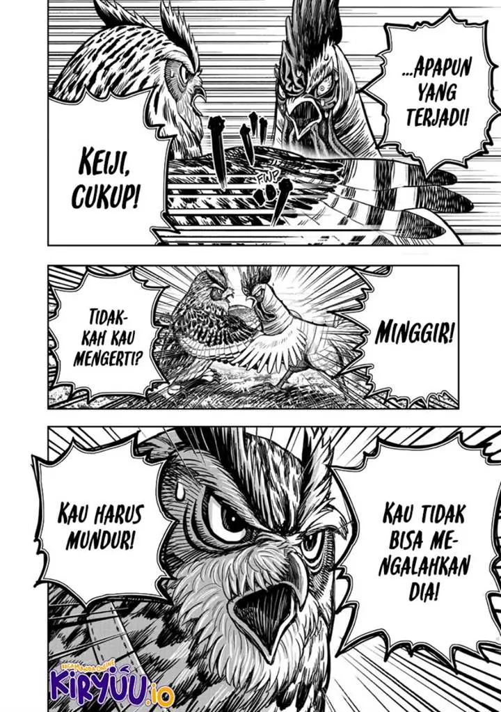 Halaman 43