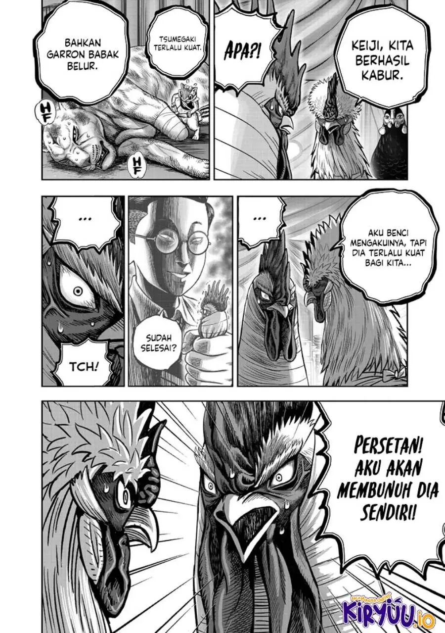 Halaman 19