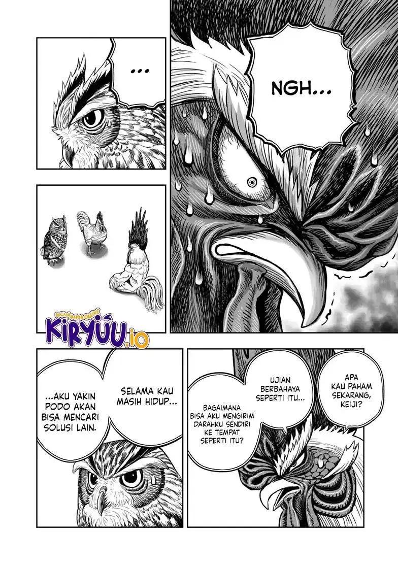 Halaman 31