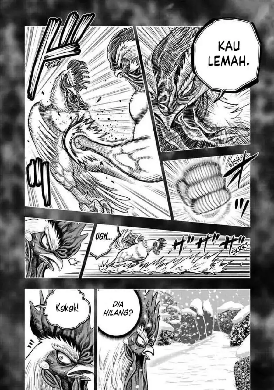 Halaman 20