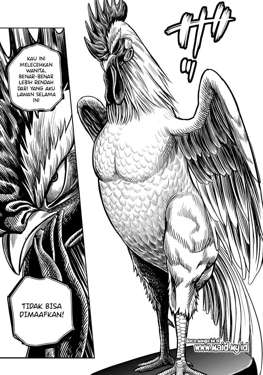 Halaman 13