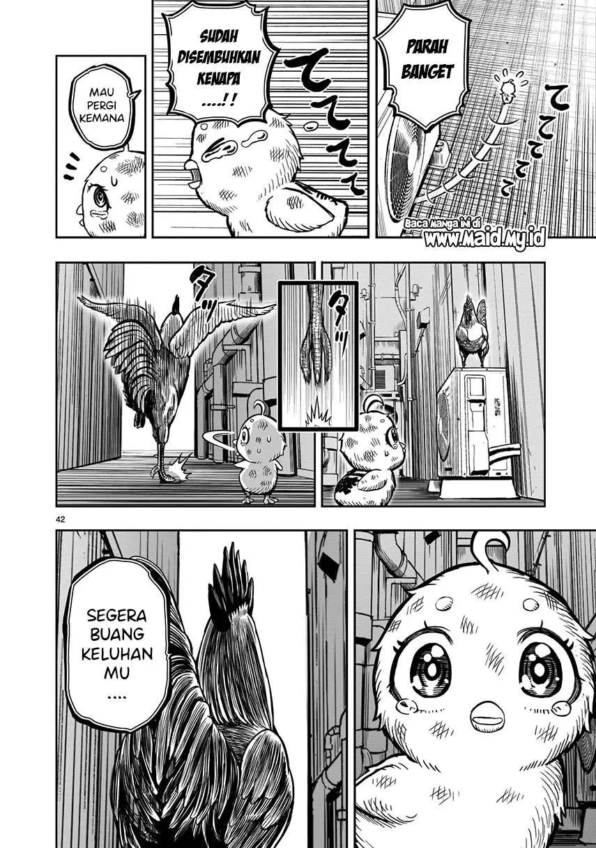 Halaman 44