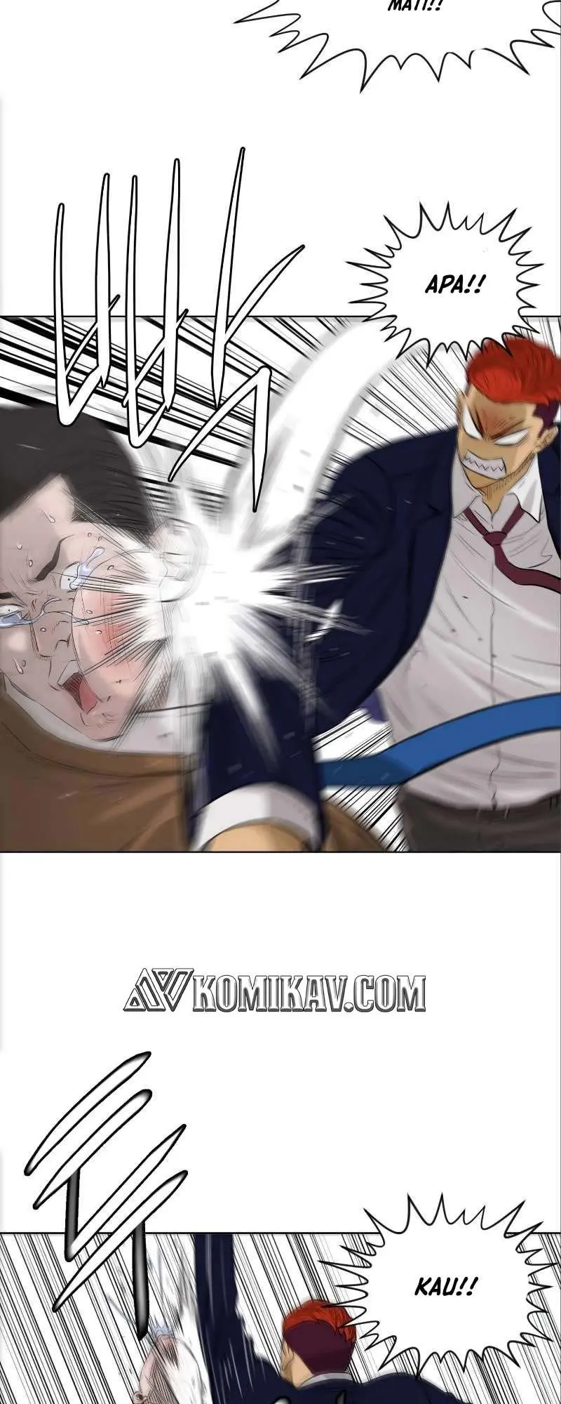 Halaman 17