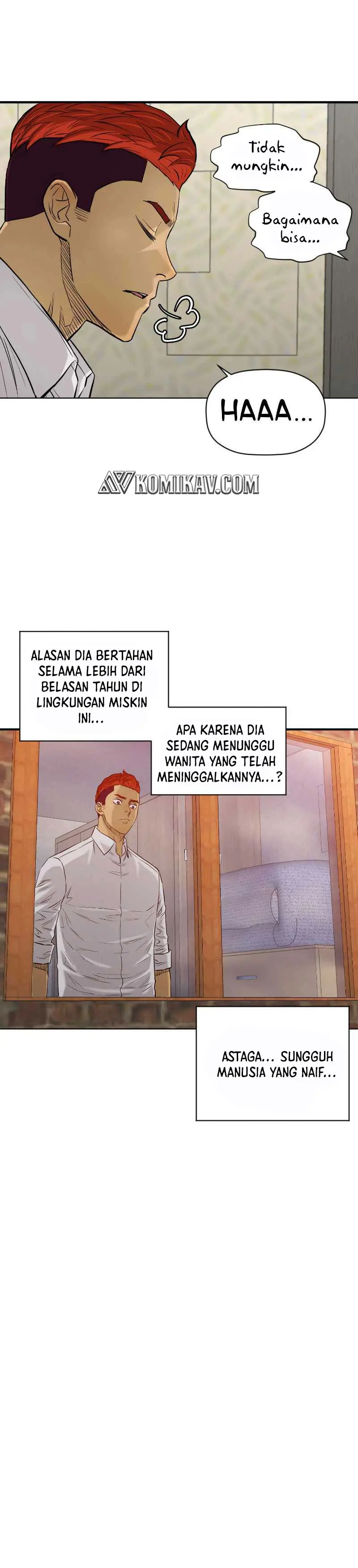 Halaman 17