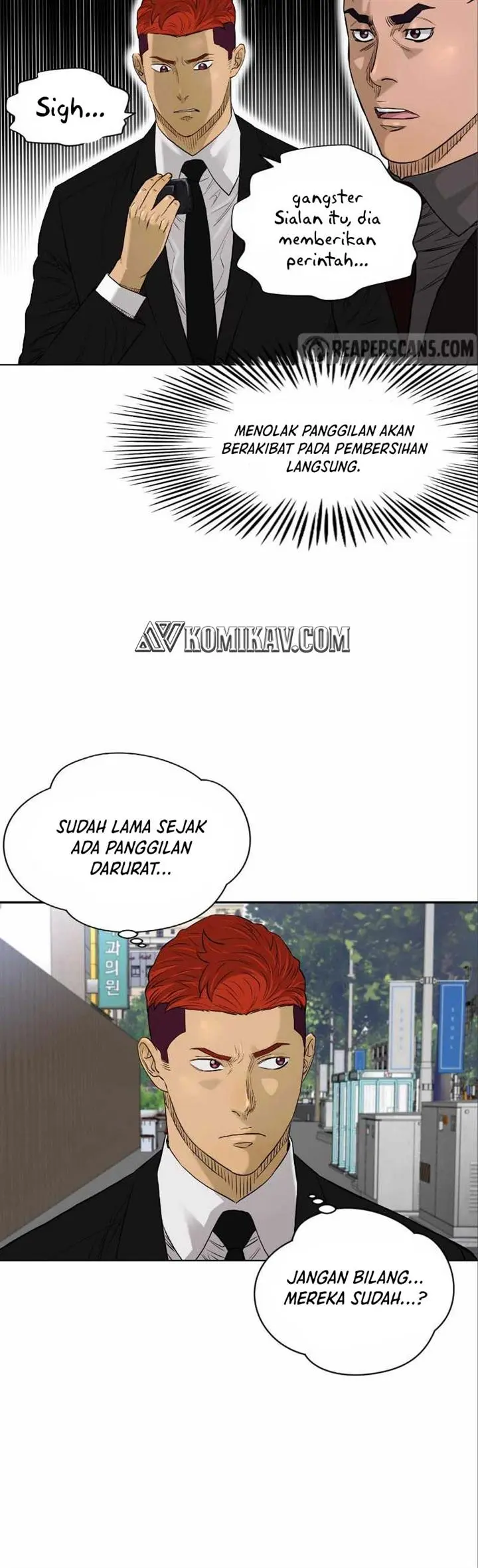 Halaman 17