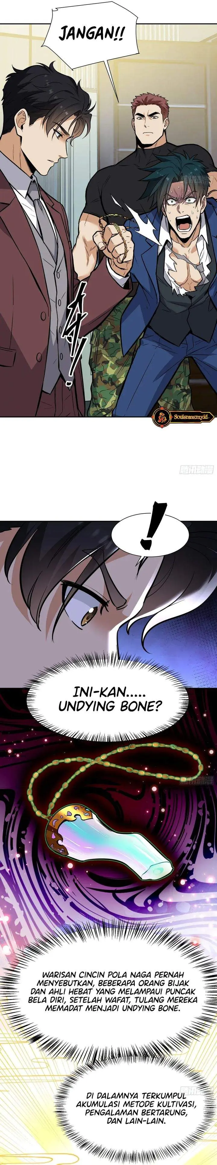Halaman 17