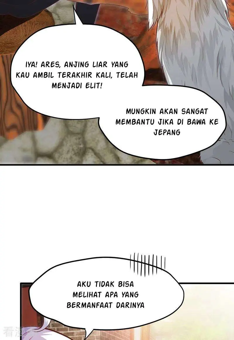 Halaman 17