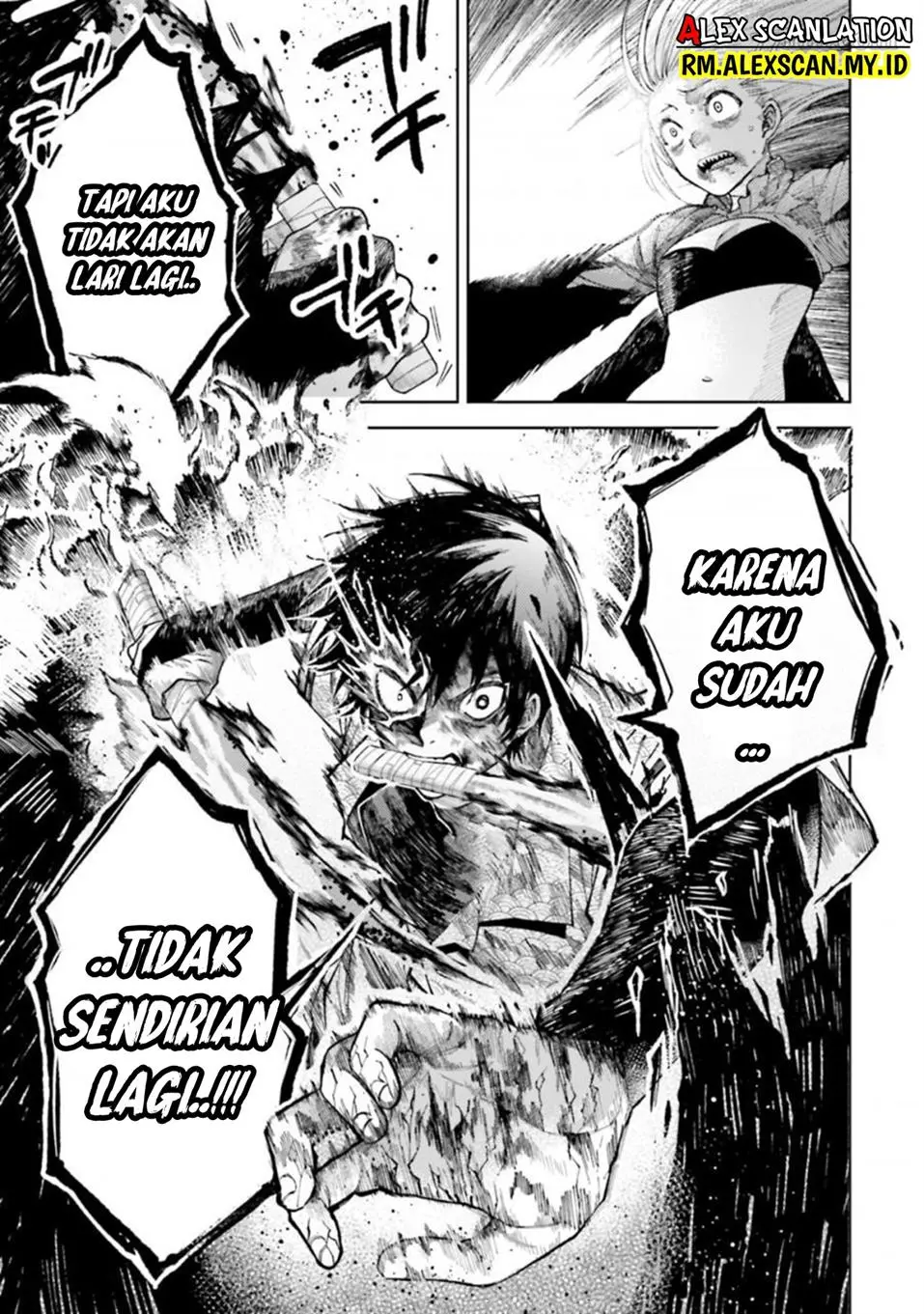Halaman 13