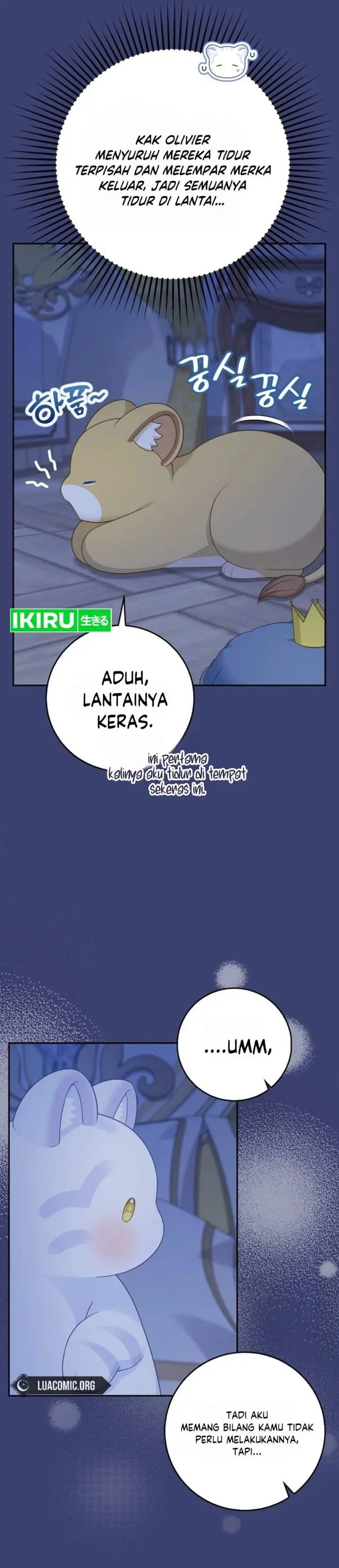 Halaman 43