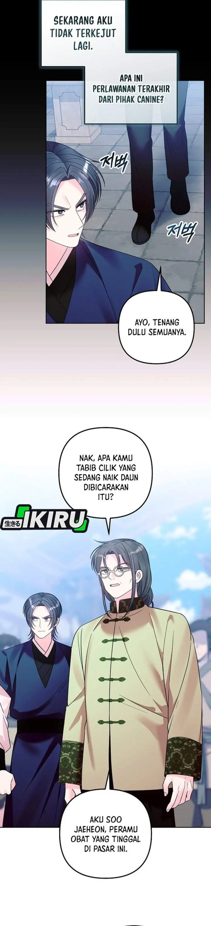 Halaman 25